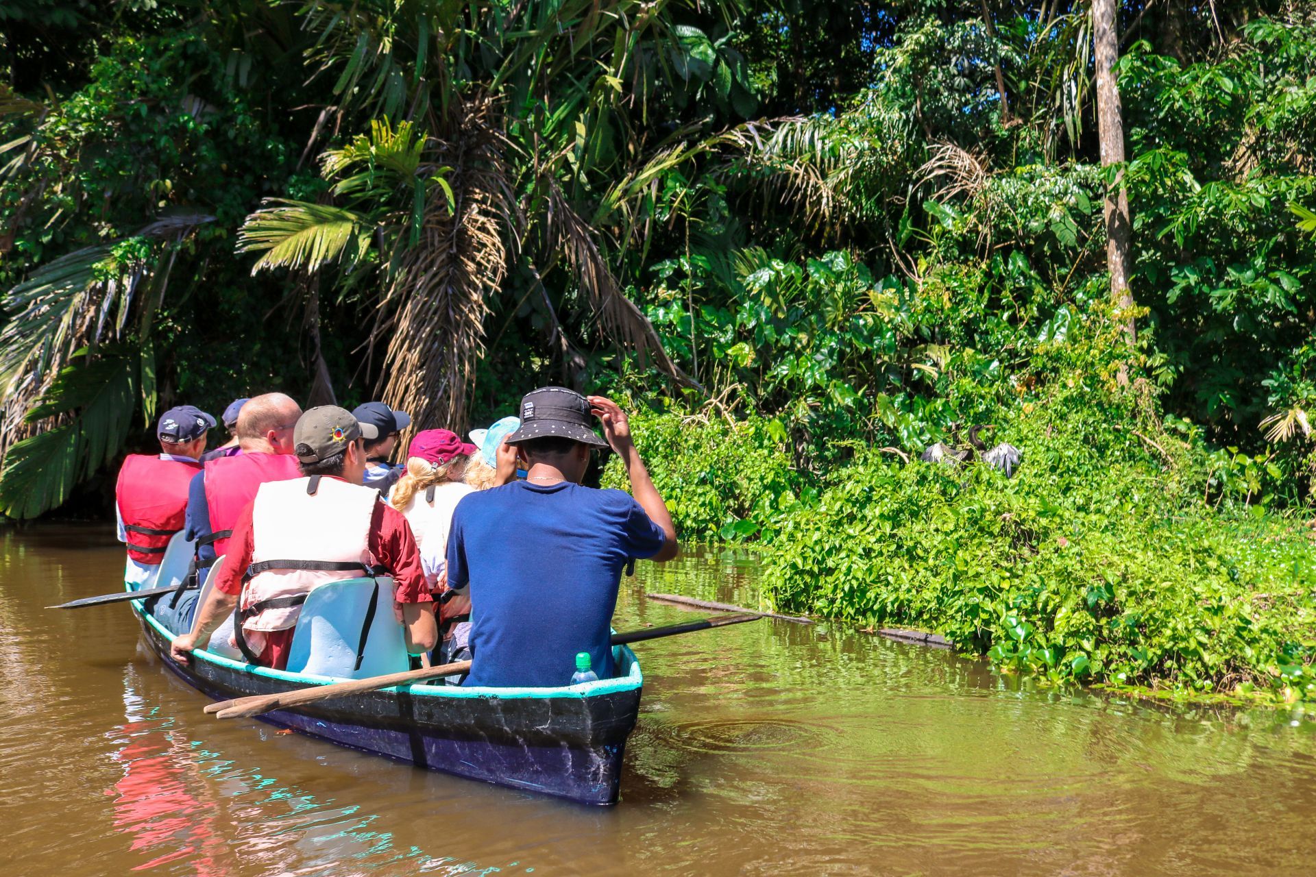 Gruppi turistici Costa Rica